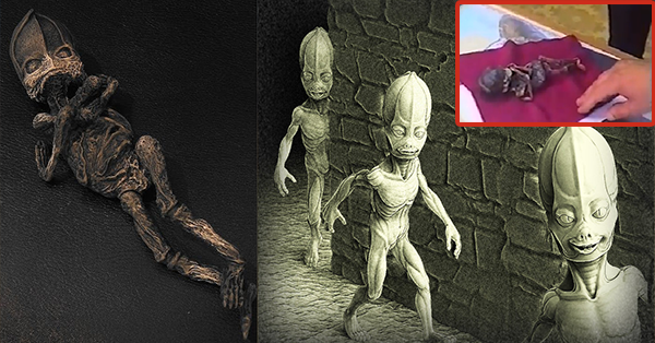 Kết quả là họ nhìn thấy một sinh vật lạ hình người có chiều cao khoảng 20 - 25 cm, da nâu, không có tóc và mắt lồi.