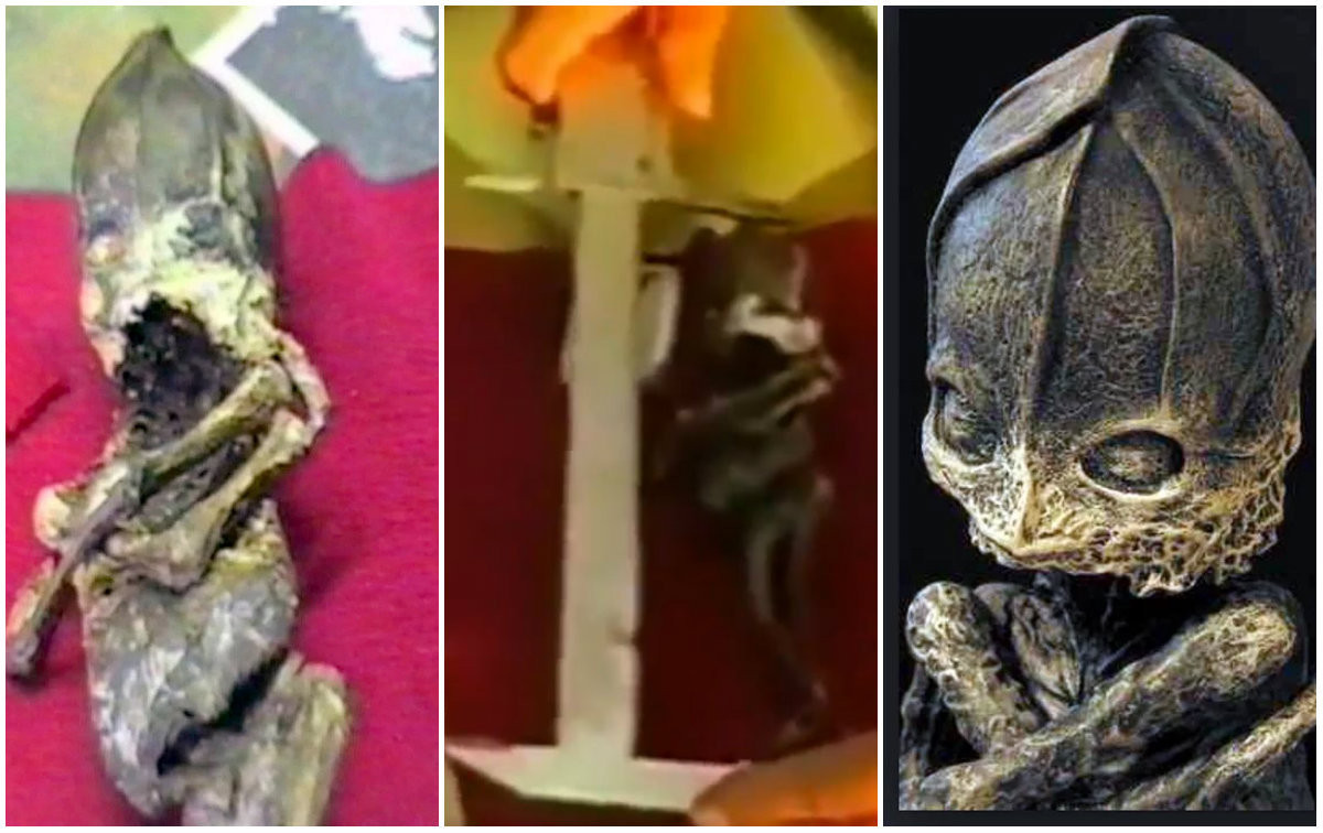 Về sau, xác chết sinh vật lạ nghi người ngoài hành tinh biến mất một cách bí ẩn trong quá trình đi kiểm tra, xác minh xem có phải là con người không. Do vậy, đến nay, bí ẩn về sinh vật lạ hình người trên vẫn chưa được giải đáp. Video: Thụy Sĩ mở lớp dạy ngôn ngữ của người ngoài hành tinh (nguồn: VTC14)