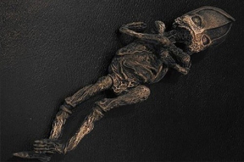 Cách đây 23 năm, một sinh vật lạ nghi người ngoài ngoài tinh được tìm thấy tại làng Kaolinovy gần thành phố Kyshtym ở vùng Ural trở thành tâm điểm thu hút của truyền thông Nga và thế giới.