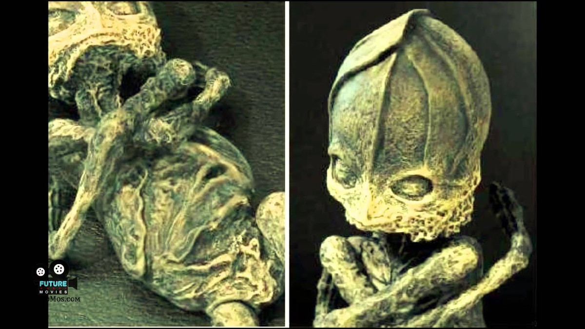 Sự việc bắt đầu bằng việc một phụ nữ đã nghỉ hưu tên Tamara Prosvirina ôm trong tay một sinh vật lạ và trò chuyện với nó.