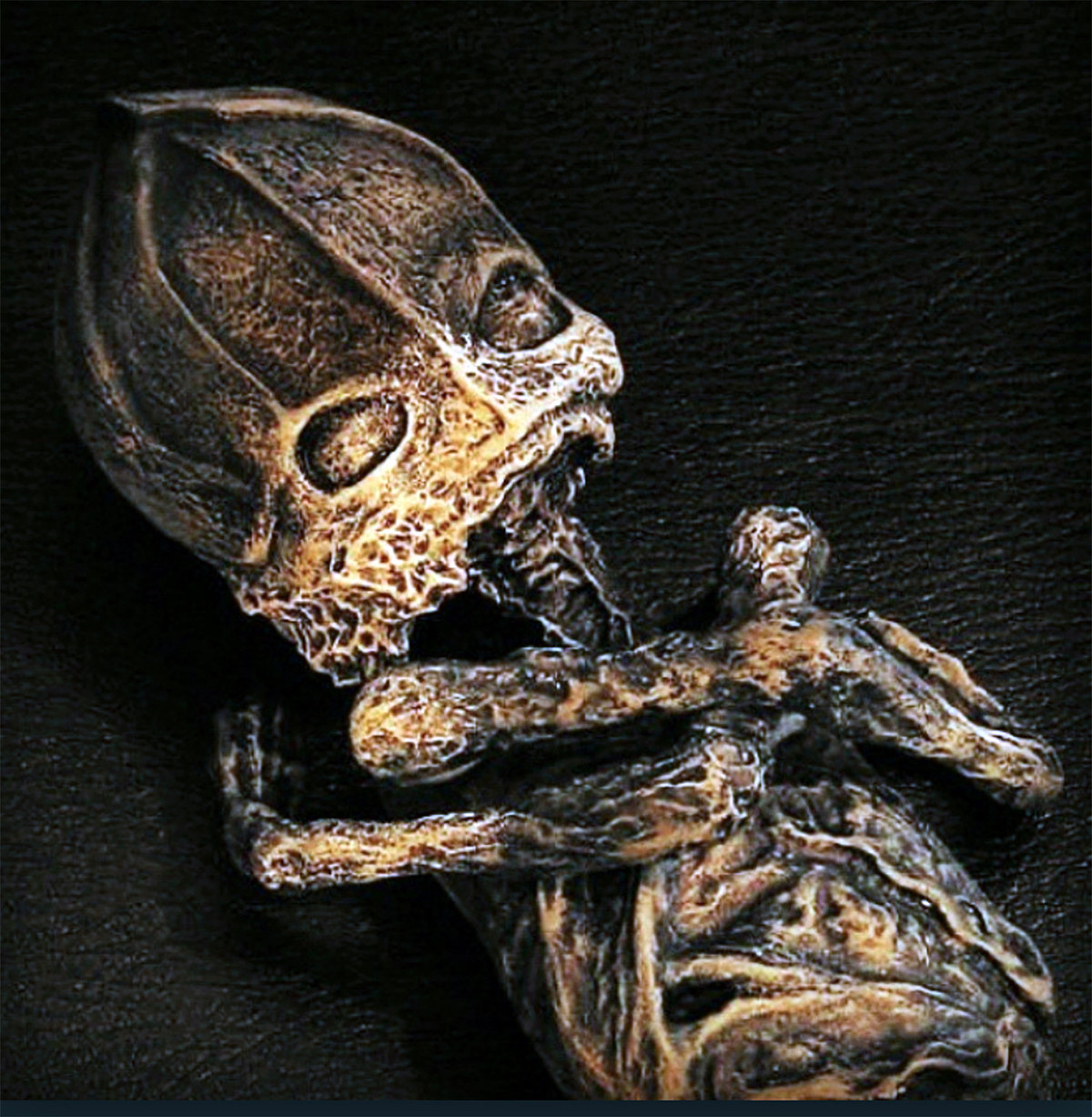 Câu chuyện về sinh vật lạ được bà Prosvirina nuôi dưỡng nhanh chóng lan rộng khắp nơi. Một số người cho rằng đây chính là người ngoài hành tinh đã từng ghé thăm Kyshtym.