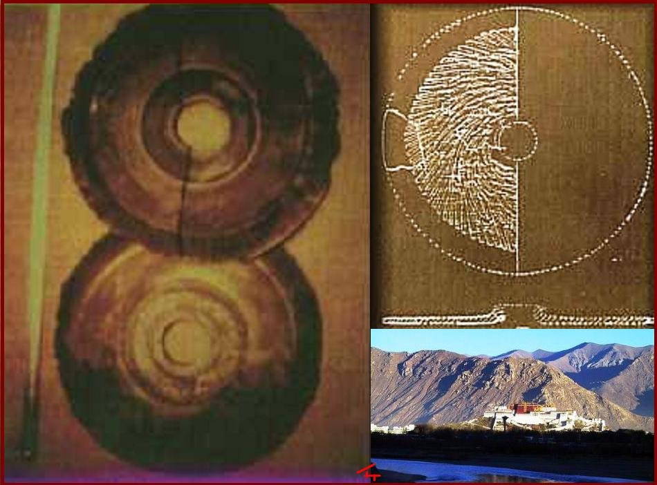 Theo đó, nhóm của giáo sư Chi Pu Tei phát hiện một số bộ hài cốt kỳ lạ có hộp sọ to bất thường với vóc dáng cơ thể chỉ khoảng 1,2m.