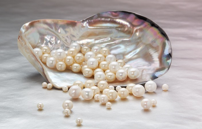 Thêm nữa, gia đình người quá cố không muốn người thân sang thế giới bên kia trong tình trạng đói khát.