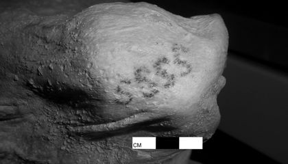 Trong khi đó, xác ướp nữ giới có tên Gebelein. Các nhà khoa học phát hiện ra những hình xăm hình chữ S chạy dọc ở vai phải của xác ướp. Hình xăm này giống chiếc gậy baton biểu tượng cho quyền lực thời cổ đại cũng được tìm thấy trên cơ thể Gebelein.