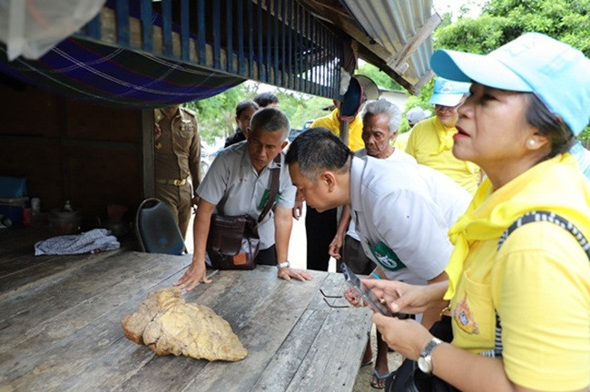 Theo ngư dân này, ông đi qua vật thể này trên bãi biển hôm 3/1/2019 sau khi cơn bão Pabuk quét qua đảo, nhưng ông không biết là gì nên để ở đó và đi về nhà. Sau đó, Jamras được một người họ hàng nói có thể đó là khối long diên hương thì ông mới quay lại đem về.
