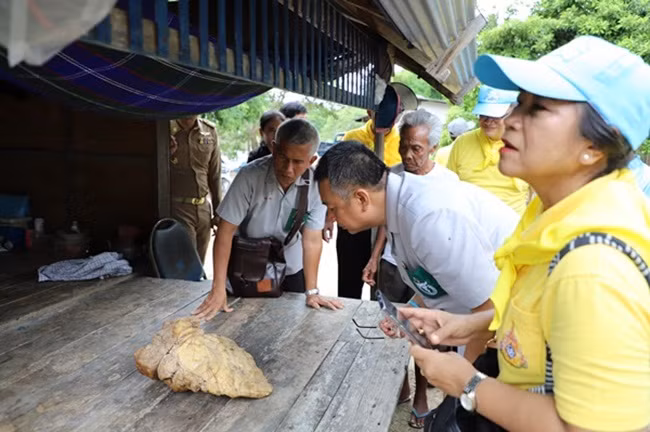 Theo ngư dân này, ông đi qua vật thể này trên bãi biển hôm 3/1/2019 sau khi cơn bão Pabuk quét qua đảo, nhưng ông không biết là gì nên để ở đó và đi về nhà. Sau đó, Jamras được một người họ hàng nói có thể đó là khối long diên hương thì ông mới quay lại đem về.