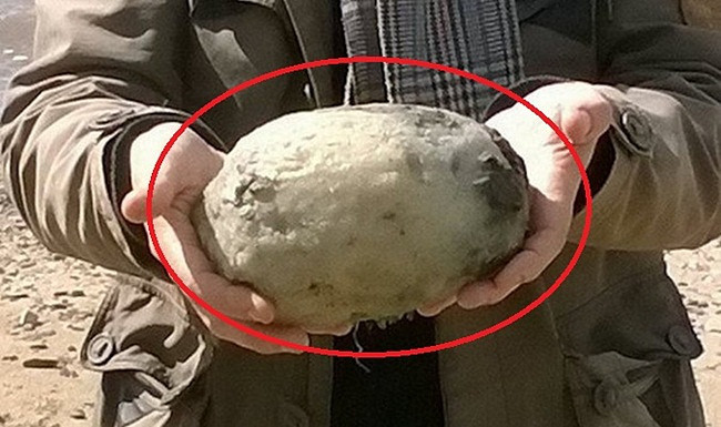 Long diên hương chất lượng tốt có thể có giá tới 14.500 bảng/0,45kg. Nếu tính theo trọng lượng khối lạ mà Surachet tìm được, nó có thể trị giá tới hơn 500.000 bảng Anh (~15 tỷ đồng) trong trường hợp đây là long diên hương chất lượng cao.