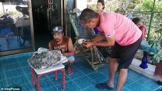 Long diên hương là thứ có giá trị và được hình thành trong hệ tiêu hóa của cá nhà táng.