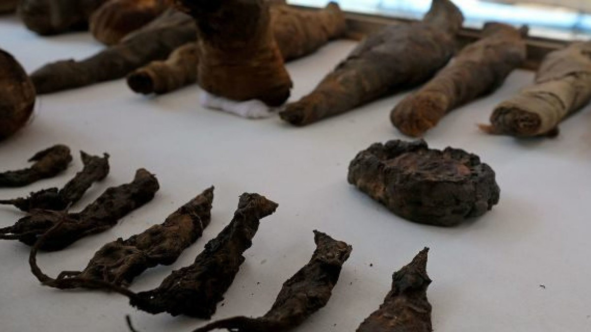 Nguyên do là bởi xác ướp chim ưng trong mộ cổ được cho là biểu tượng liên quan tới thần Horus - vị thần chiến tranh của người Ai Cập cổ đại. Trong khi ấy, mèo được ướp xác có liên quan đến nghi lễ nhằm tôn sùng nữ thần Bast.