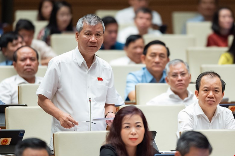 Dai bieu Quoc hoi: Can nhac doi ten the Can cuoc cong dan-Hinh-2