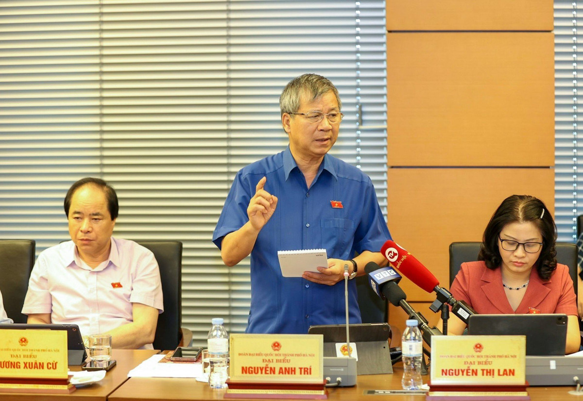 ĐBQH: Không nên để các nhà đầu tư tự đi thỏa thuận mua đất - Hình 2 DBQH: Khong nen de cac nha dau tu tu di thoa thuan mua dat-Hinh-2