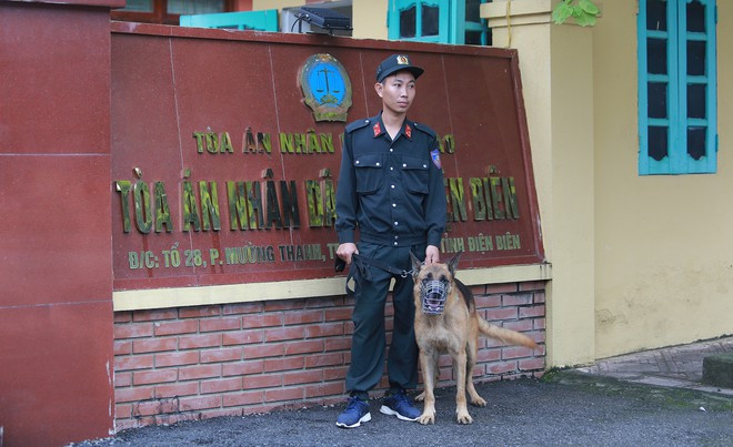 Phúc thẩm nữ sinh giao gà Điện Biên: Ác nữ Bùi Thị Kim Thu tóc bạc trắng - Hình 2 Phuc tham nu sinh giao ga Dien Bien: Ac nu Bui Thi Kim Thu toc bac trang-Hinh-2
