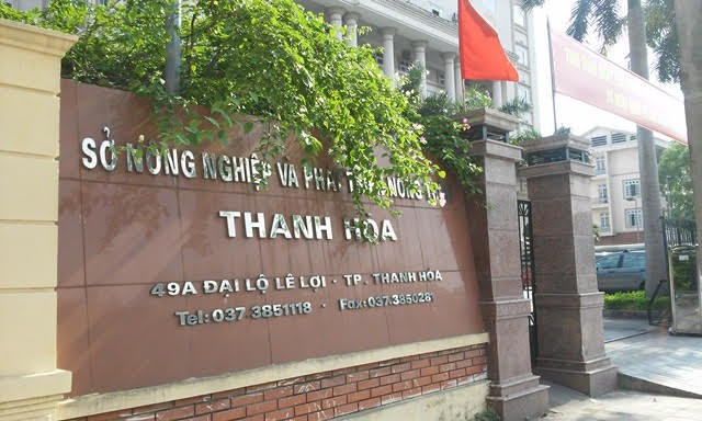 Ngày 01/10/2014, bà được bổ nhiệm vào ngạch kế toán viên và nhận quyết định giao phụ trách kế toán cơ quan. Ngày 28/9/2015, Giám đốc Sở ký quyết định bổ nhiệm bà Thảo làm kế toán trưởng của cơ quan này từ ngày 1/10/2015, thời hạn 5 năm.