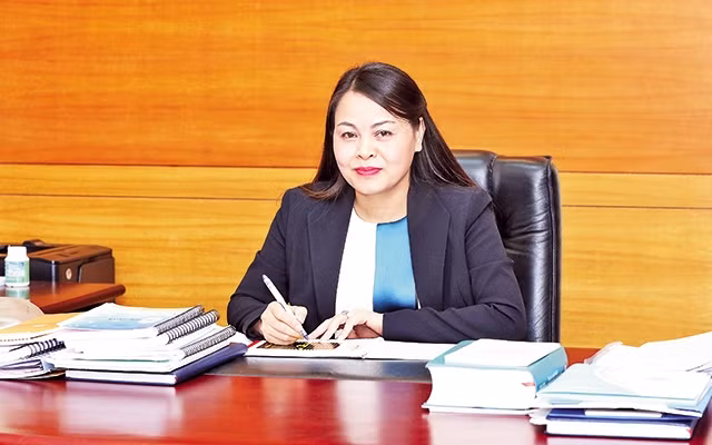 Bà từng giữ các chức vụ: Phó Chủ tịch Hội LHPN Việt Nam kiêm Giám đốc Học viện Phụ nữ Việt Nam; Phó bí thư Tỉnh ủy Vĩnh Long. Trước khi giữ chức Bí thư Tỉnh ủy Ninh Bình, bà làm Chủ tịch Hội Liên hiệp Phụ nữ Việt Nam từ 25/12/2015.