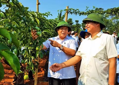 Quang Tri co Chu tich UBND tinh moi sau 4 thang “trong ghe”