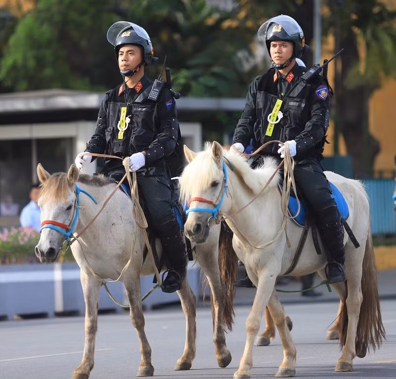 Theo thuyết minh, giống ngựa được Bộ Công an lựa chọn có sức khỏe tốt, khả năng thích nghi cao với điều kiện khắc nghiệt. Sự dẻo dai, ngoại hình của ngựa phù hợp với việc tuần tra, kiểm soát và xử lý các tình huống biểu tình, bạo loạn... Tính tới nay, lực lượng chức năng đã nhân giống được bốn ngựa con, trọng lượng sơ sinh từ 23-28 kg, tăng tổng số đàn ngựa lên 100 con.