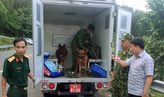 Đại tá Trần Mưu, Phó giám đốc Công an Đà Nẵng cũng có mặt tại núi Hải Vân để chỉ đạo các lực lượng truy bắt. Tại hiện trường, nhiều tổ công an, quân đội đang bao vây theo thế gọng kìm. Hơn 50 chó nghiệp vụ được đưa đến núi Hải Vân để giám biệt mùi hơi nhằm truy tìm kẻ mang tội giết người.