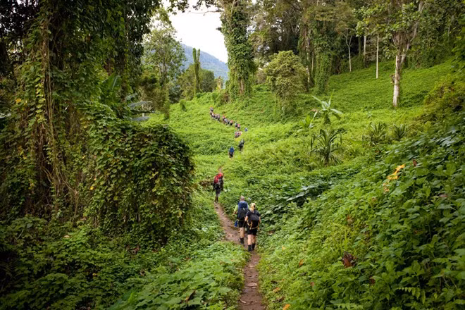  Đường Kokoda (Papua New Guinea): Nếu muốn trải nghiệm thời tiết khắc nghiệt và đối mặt với nguy cơ mắc bệnh sốt rét, bạn nên thử đi tuyến đường dài gần 100 km qua nơi người Koiari sinh sống. Du khách sẽ phải trải qua 12 ngày đi bộ dưới nắng gắt, mưa dữ dội và ngủ đêm trong không khí lạnh buốt. Ảnh: Damiancaniglia.