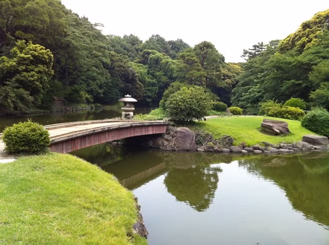 Vườn thiên nhiên Shinjuku Gyoen, Nhật Bản: Đây là một khu công viên tuyệt đẹp nằm ở Tokyo. Khu vườn xây xong lần đầu vào năm 1772, nhưng công trình ngày nay hoàn thành vào năm 1906. Khu vườn rộng 50,3 ha với hơn 20.000 loài cây. Bên trong khu Greenhouse có hơn 1.700 loài thực vật nhiệt đới và cận nhiệt đới có thể chiêm ngưỡng.