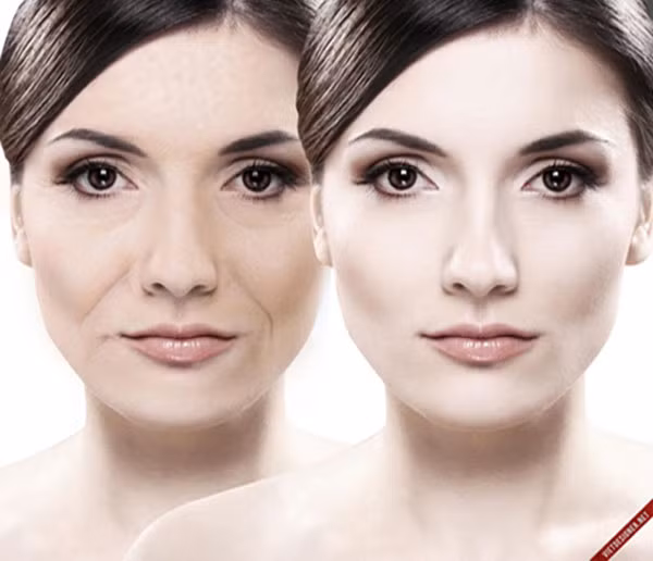 Chống lão hóa. Chúng ta đều biết rằng chất chống oxy hóa giúp ngăn ngừa lão hóa sớm bằng cách loại bỏ các gốc tự do trong cơ thể. 