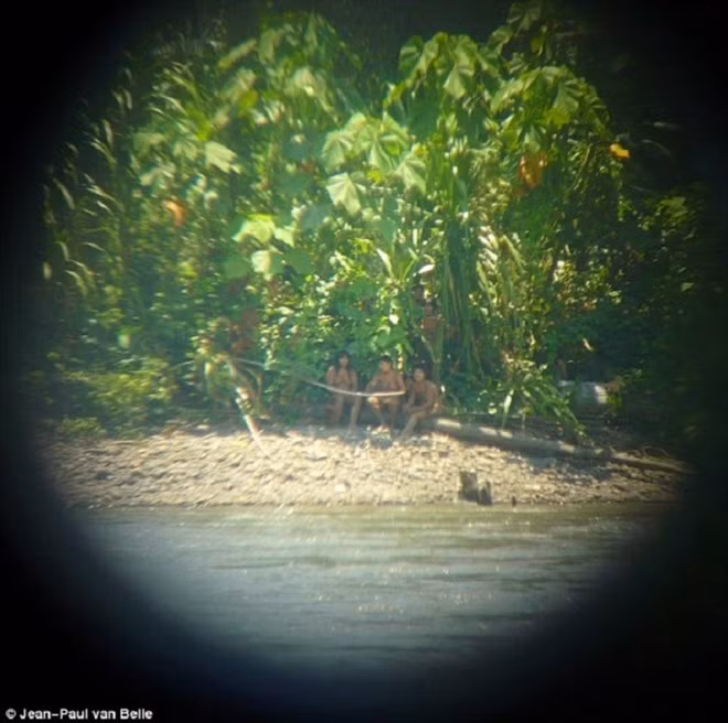 Cư dân bộ tộc này đã được nhìn thấy 3 lần trong năm nay khi họ rời khỏi rừng ra ngoài tìm thức ăn.