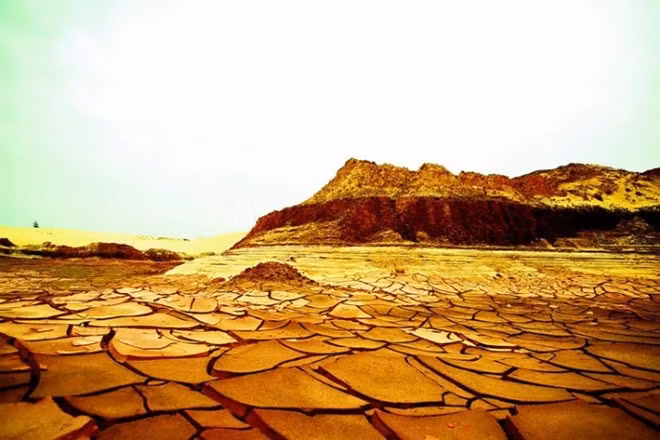 Cát ở đây chủ yếu là màu trắng khiến đồi cát càng rộng, hoang sơ và bí ẩn. Ảnh: ESC.