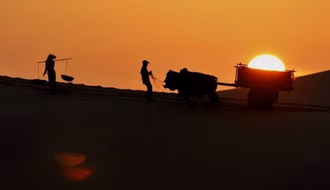  Đồi cát Lương Sơn cách Phan Thiết vài chục km. Đồi cát này thôi miên mọi ánh mắt du khách bởi những vân cát tuyệt đẹp, những dấu bánh xe bò trên cát.... Ảnh: Huynhdungphoto.