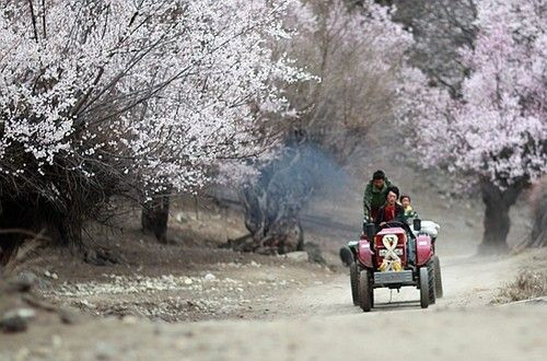 Cảnh sắc nơi đây không giống với những nơi khác của Tây Tạng, với rừng sâu mây nước, khung cảnh thiên nhiên vô cùng trù phú. Nước nơi đây trong vắt đến tận đáy, in bóng bốn bề núi tuyết trắng ngời. Mùa xuân muôn hoa đua nở, mùa thu lá đỏ rực trời.