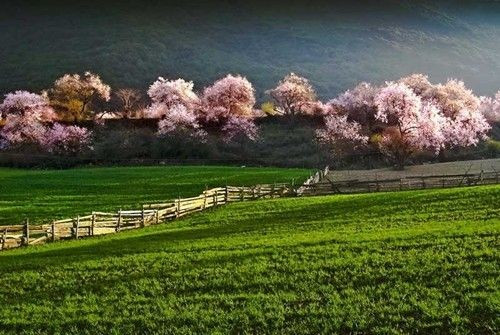 3. Bowo (Bomi): Nằm ở phía Đông Nam, là nơi tiếp nối giữa núi Nyainqntanglha và dãy Himalaya. Nơi đây được bao bọc bởi núi tuyết, là sông băng dạng đại dương lớn nhất Trung Quốc - cội nguồn của sông băng Kaqin.