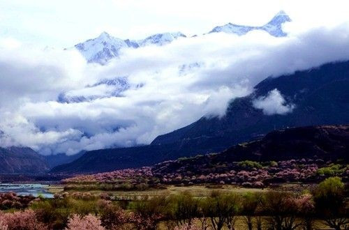 2. Nyingchi (Linzhi): Còn có tên gọi là Giang Nam của Tây Tạng. Nằm ở khu vực sông Yalu Tsangpo, phía đông bắc Tây Tạng, Nyingchi là thung lũng sâu nhất thế giới, độ cao trung bình so với mặt nước biển là 3.100 m.