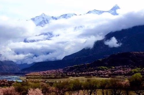 2. Nyingchi (Linzhi): Còn có tên gọi là Giang Nam của Tây Tạng. Nằm ở khu vực sông Yalu Tsangpo, phía đông bắc Tây Tạng, Nyingchi là thung lũng sâu nhất thế giới, độ cao trung bình so với mặt nước biển là 3.100 m.