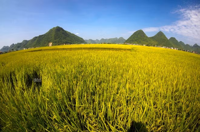 Sáng sớm ở Bắc Sơn, sương và mây che một lớp màn mỏng. Ánh nắng nhẹ đầu ngày chiếu xiên tạo sự kỳ ảo, lãng mạn. Tới hoàng hôn, từng ngôi nhà phía thị trấn bắt đầu lên đèn, hệt như đàn đom đóm nhỏ ôm lấy chân những ngọn núi đá vôi im lìm.