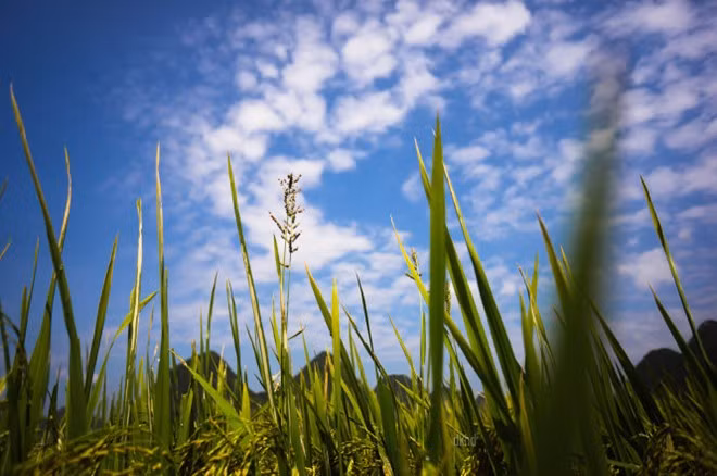 Chính vẻ đẹp ẩn mình ấy khiến ai nấy ngỡ ngàng, tự hỏi thiên đường trước mặt có phải một giấc mơ.