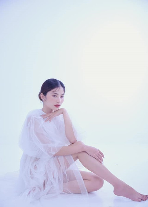 Lệ Nam từng vướng một số ồn ào tình ái.