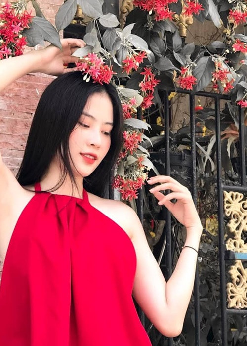 Lệ Nam từng gây ra ồn ào tình ái vào năm 2017 khi livestream tố bị người tình tên B.T đe dọa. Thế nhưng chỉ sau một thời gian ngắn, Lệ Nam lại xuất hiện bên B.T tại The Face 2017. Ồn ào dấy lên nghi vấn về Lệ Nam "dựng chuyện" để dọn đường vào showbiz.