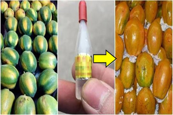 Meo phan biet du du chin tu nhien voi qua bom thuoc chi em can hoc