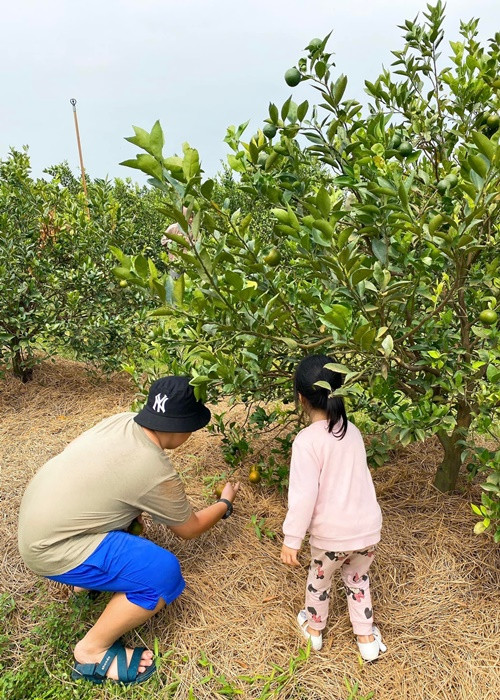Lê Phương hạnh phúc khi thấy hai con yêu thương nhau.