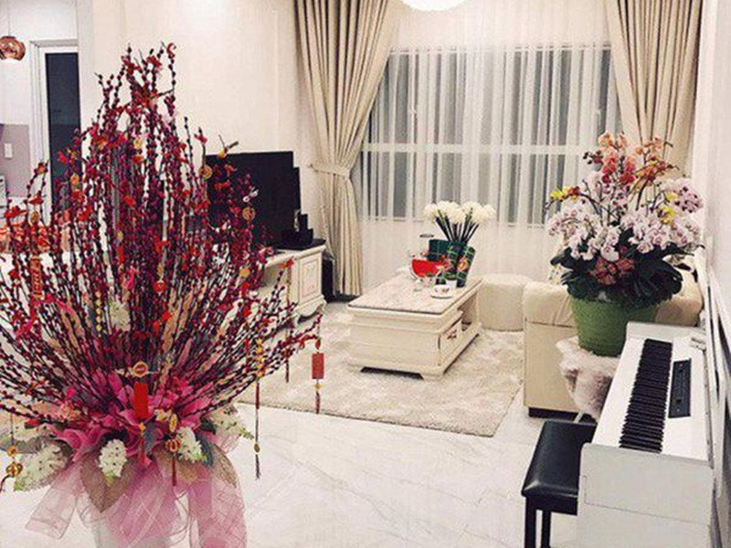 Hồi cuối năm 2016, “bà mẹ nhí” mua căn hộ chung cư cao cấp giá gần 5 tỷ đồng. Ảnh: FBNV