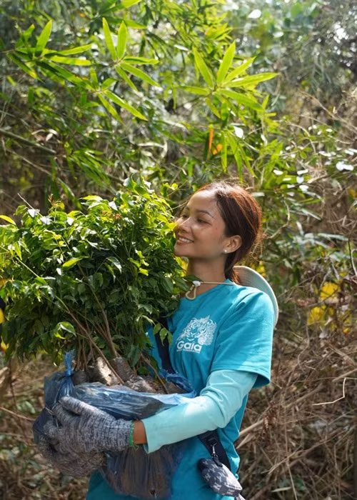 Vào thời điểm chỉ có 85 triệu đồng trong tài khoản, H’hen Niê rút ra 50 triệu ủng hộ miền Trung. Người đẹp chỉ còn 35 triệu để chi trả cho rất nhiều thứ trong cuộc sống. Ảnh: FBNV