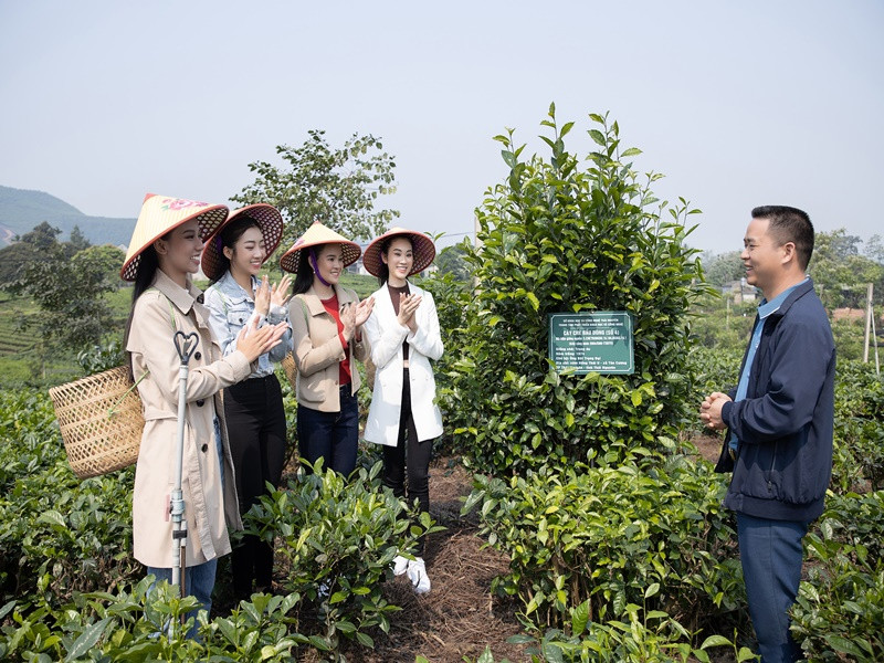Các thí sinh Miss World Vietnam 2022 hiện tại đã bắt đầu bước vào hành trình tập luyện khắc nghiệt nhằm nâng cao các kỹ năng như catwalk, trình diễn, ứng xử cho những phần thi quan trọng sắp diễn ra.