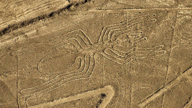 7. Đường kẻ Nazca Lines được tìm thấy trên sa mạc cách Lima, Peru được phát hiện vào đầu thập niên 30 ở thế kỷ trước. Những đường thẳng này nhìn từ xa trông giống như một đường băng hay hình con chim khổng lồ được khắc họa trên mặt đất. Nhiều giả thiết cho rằng, hình vẽ này là dùng để nhận biết độ cao, dùng cho dự báo thời tiết hoặc có thể là cho mục đích tín ngưỡng…