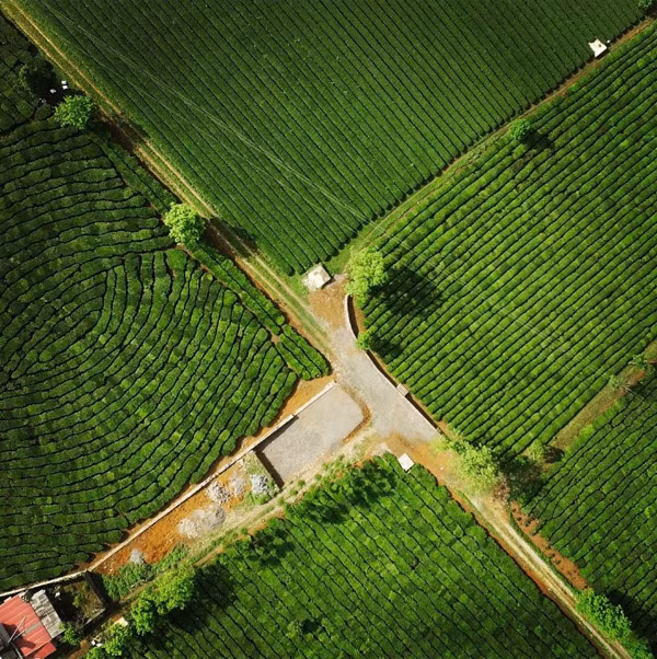 Chẳng cần vào mùa hoa mận trắng, đi mùa nào cũng thấy Mộc Châu đẹp. Đẹp từ đường đi, đẹp từ những nụ cười của người dân trong bản, đẹp từ chiếc váy hoa sặc sỡ của những em bé chân trần… Khí hậu mát mẻ quanh năm nên đến Mộc Châu lúc nào cũng dễ chịu. Du ngoạn Mộc Châu mà không thức dậy sớm leo núi cao ngắm mặt trời mọc thì rất đáng tiếc.