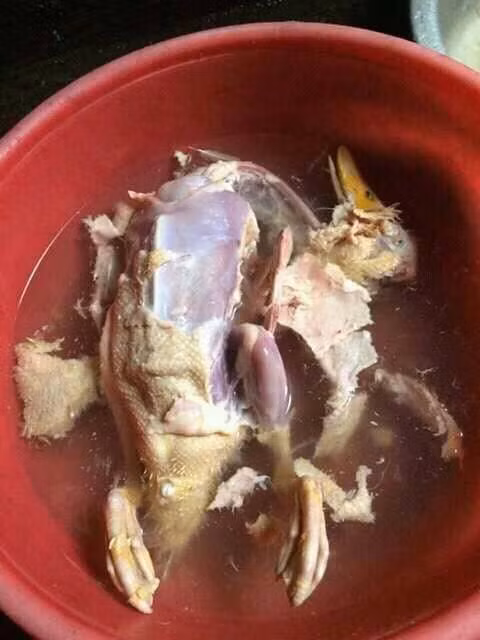 Chú vịt không những bị vặt lông mà còn bị lột da từng mảng trông rất khủng khiếp.