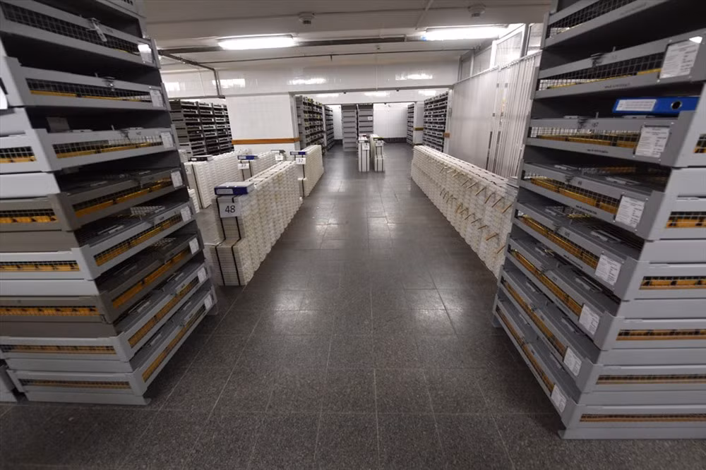 Tổng cộng, mỗi năm ở Nga sản xuất khoảng 300 tấn vàng.