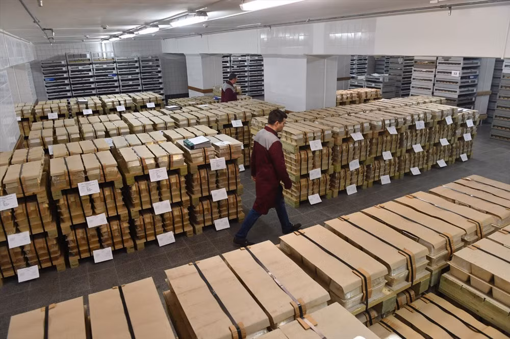 Dự trữ của Nga bao gồm: Ngoại tệ (345,5 tỷ USD), vàng (76,1 tỷ USD), những bảo vật khác (9,6 tỷ USD).