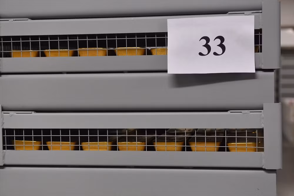 Vàng của Nga được khai thác từ các mỏ đạt sản lượng 240 tấn/năm, tái chế từ nguyên liệu thứ cấp 40 tấn/năm, vàng đồng hành chiết xuất từ các loại quặng kim loại màu 20 tấn/năm.