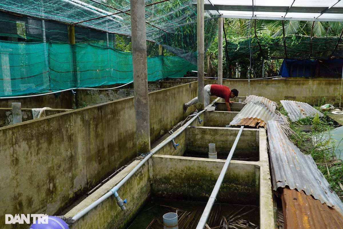 Co ngoi tien ty bo nhung nhuc cua anh trai mien Tay