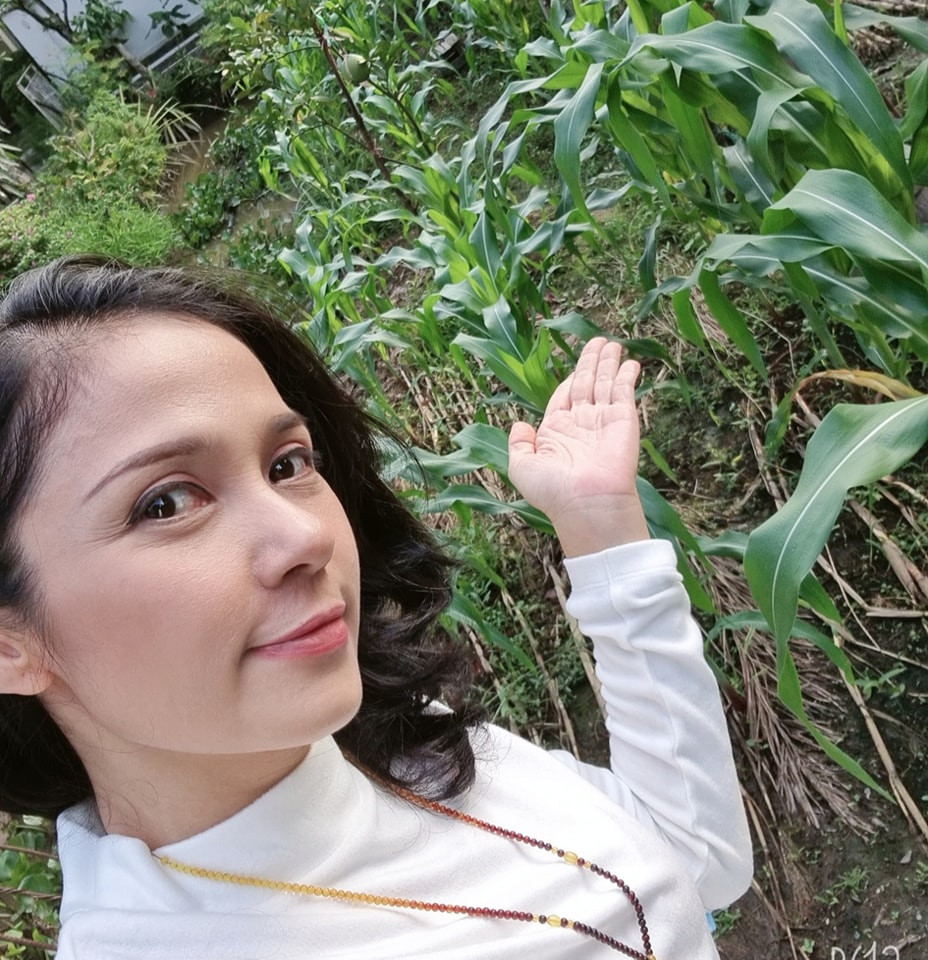 Mới đây, Việt Trinh gây bất ngờ khi tuyên bố giải nghệ. Nữ diễn viên chia sẻ trên trang cá nhân: "Kể từ 9/1, Trinh không còn là diễn viên, đạo diễn Việt Trinh nữa mà là Trần Việt Trinh, pháp danh Diệu Thiện".