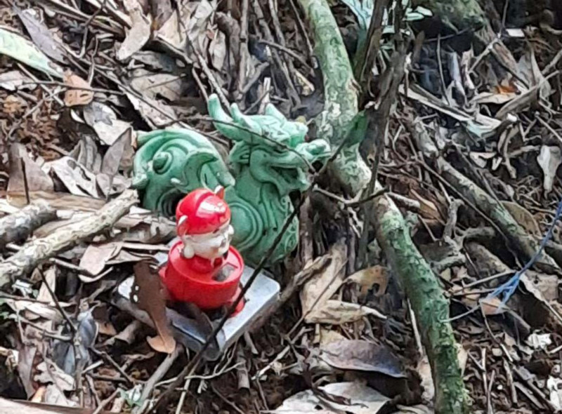 Nhieu tinh tiet la trong vu phat hien 2 thi the giua rung gia-Hinh-5