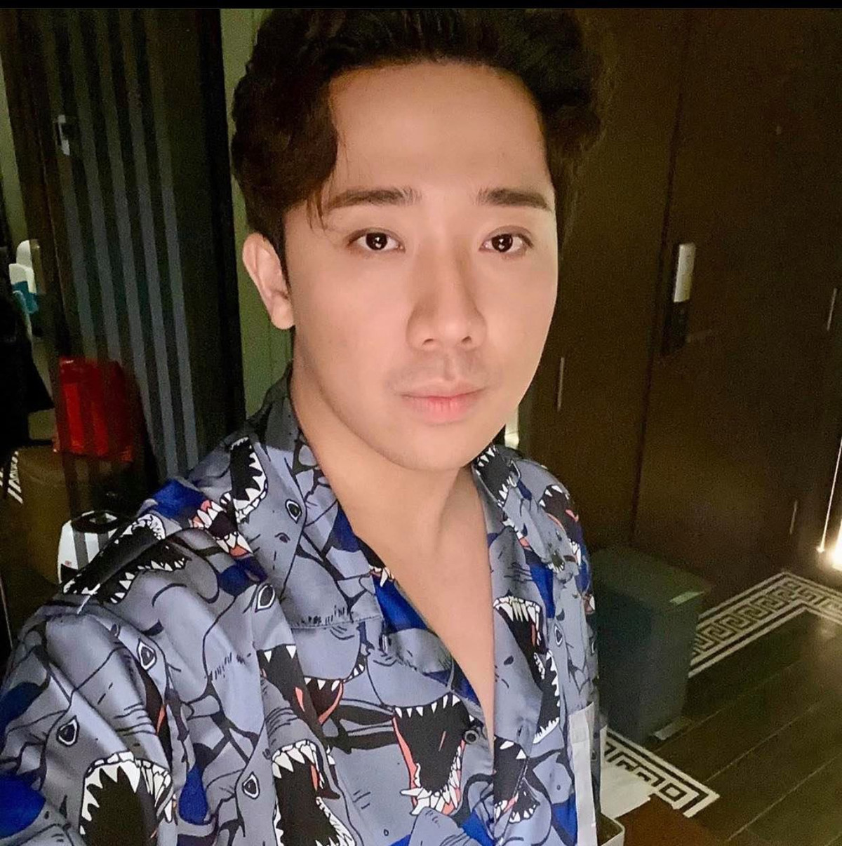 Sơ mi cá mập trẻ trung điệu đà.